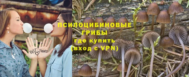 MEGA ссылка  Еманжелинск  Псилоцибиновые грибы Psilocybe 